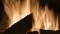 Das Bild zeigt flackernde Flammen, die in einem Festbrennstoffkessel von Viessmann entstehen.