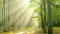 Die Abbildung grüner Bäume im Wald symbolisiert die ökologischen Vorteile der Wärmepumpe