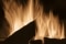 Das Bild zeigt flackernde Flammen, die in einem Festbrennstoffkessel von Viessmann entstehen.